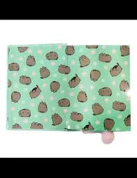 pamietnik-notes-pluszowy-a5-96k-pusheen-st-majewski-stan-nowy