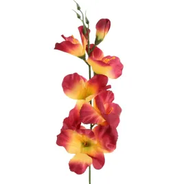 mieczyk-pojedynczy-flame-red-12-szt