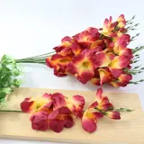mieczyk-pojedynczy-flame-red-12-szt-stan-nowy