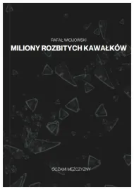miliony-rozbitych-kawalkow-rafal-wicijowski