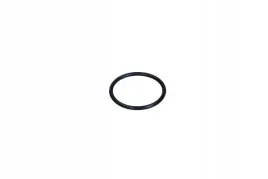 oring-aparatu-zapl-peugeot-205-307-309-605-1-1-1-4-1-6