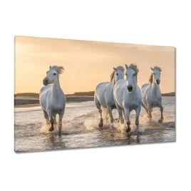 obrazy-140x90-dzikie-konie-wild-horses