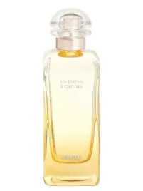 hermes-un-jardin-a-cythere-eau-de-toilette-100ml-refillable-spray