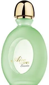 loewe aire evasion