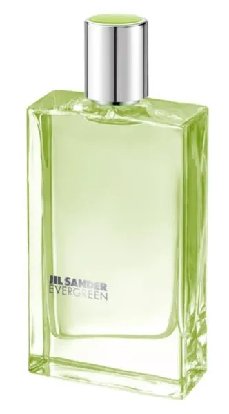 jil sander evergreen