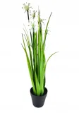 trawa-w-doniczce-54cm