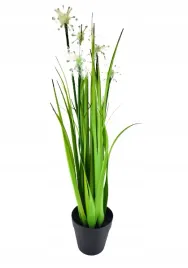trawa-w-doniczce-54cm