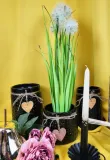 trawa-w-doniczce-54cm-stan-nowy