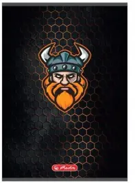 zeszyt-a5-80k-game-avatars-herlitz-miks-kolorow