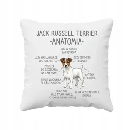 poduszka-na-prezent-dla-wlasciciela-psa-jack-russell-terrier-anatomia