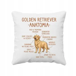 poduszka-na-prezent-dla-wlasciciela-psa-golden-retriever-anatomia