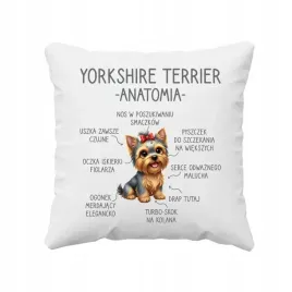 poduszka-na-prezent-dla-wlasciciela-psa-yorkshire-terrier-anatomia