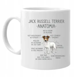 kubek-na-prezent-dla-wlasciciela-psa-jack-russell-terrier-anatomia