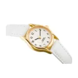 ltp1094q7b9rdf-marka-casio