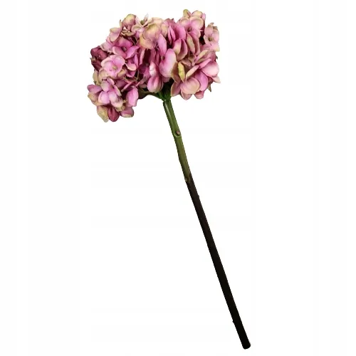 hortensja-pojedyncza-48cm-fiolet-stan-nowy