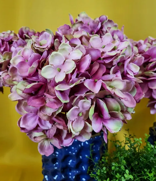 hortensja-pojedyncza-48cm-fiolet-kod-producenta-pre-ev143-pur