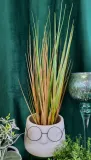 trawa-w-doniczce-50cm-stan-nowy