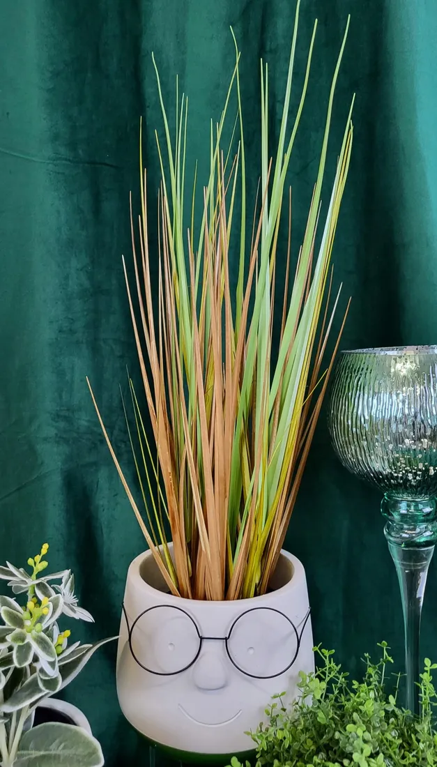 trawa-w-doniczce-50cm