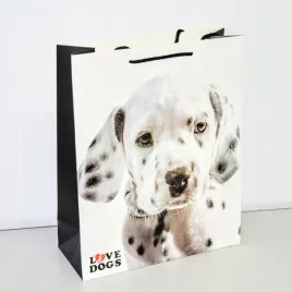 torebka-upominkowa-4-wzory-rozm-l-30x42x12cm