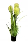 trawa-w-doniczce-81cm