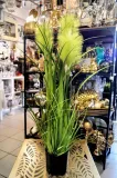 trawa-w-doniczce-81cm-stan-nowy