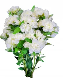 rododhendron-galazka-2-kolory-do-wyboru-bialy-lub-rozowy-81cm