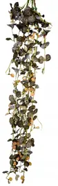 roslina-zielona-bluszcz-70cm-4-kolory-do-wyboru