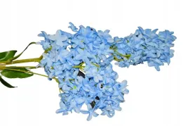 bez-pojedynczy-h-87cm