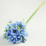 magnolia-pojedyncza-h86cm-stan-nowy