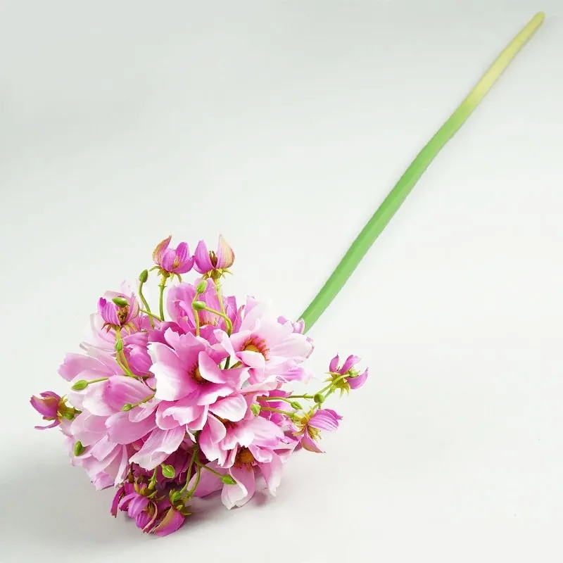 magnolia-pojedyncza-h86cm