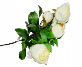 galazka-peonia-h-75-cm
