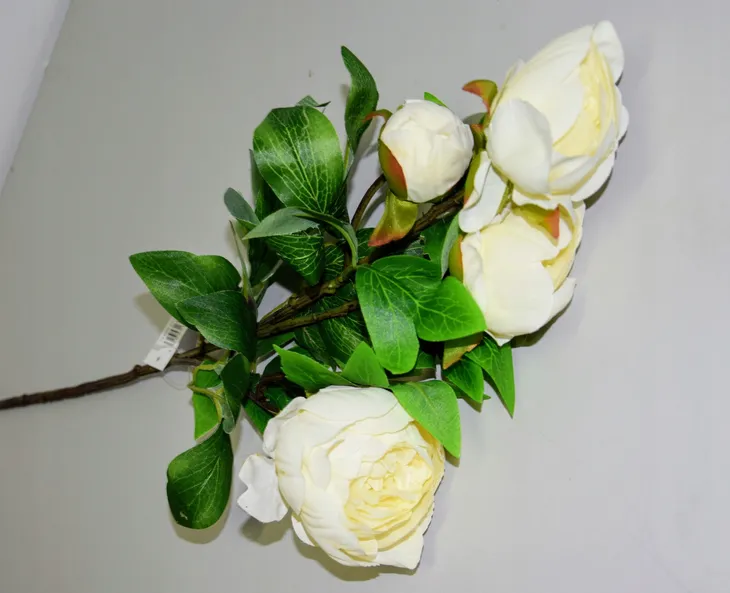 galazka-peonia-h-75-cm-rodzaj-galazki