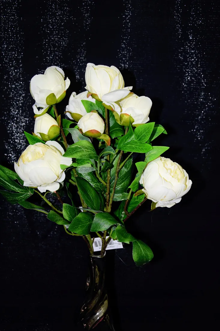 galazka-peonia-h-75-cm-stan-nowy