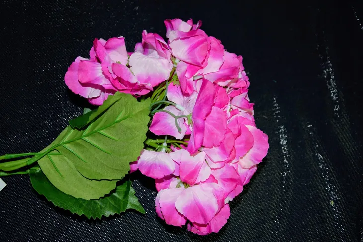 hortensja-pojedyncza-66cm-kod-producenta-pre-ak70-wi-095b