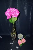 hortensja-pojedyncza-66cm-stan-nowy-rodzaj-galazki