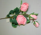 galazka-rozy-70-cm-stan-nowy