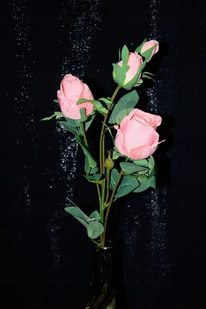 galazka-rozy-70-cm-rodzaj-galazki