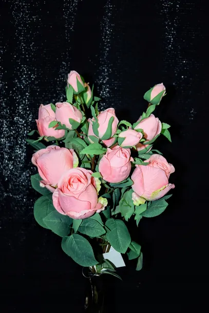 galazka-rozy-70-cm-wysokosc-maksymalna-70-cm