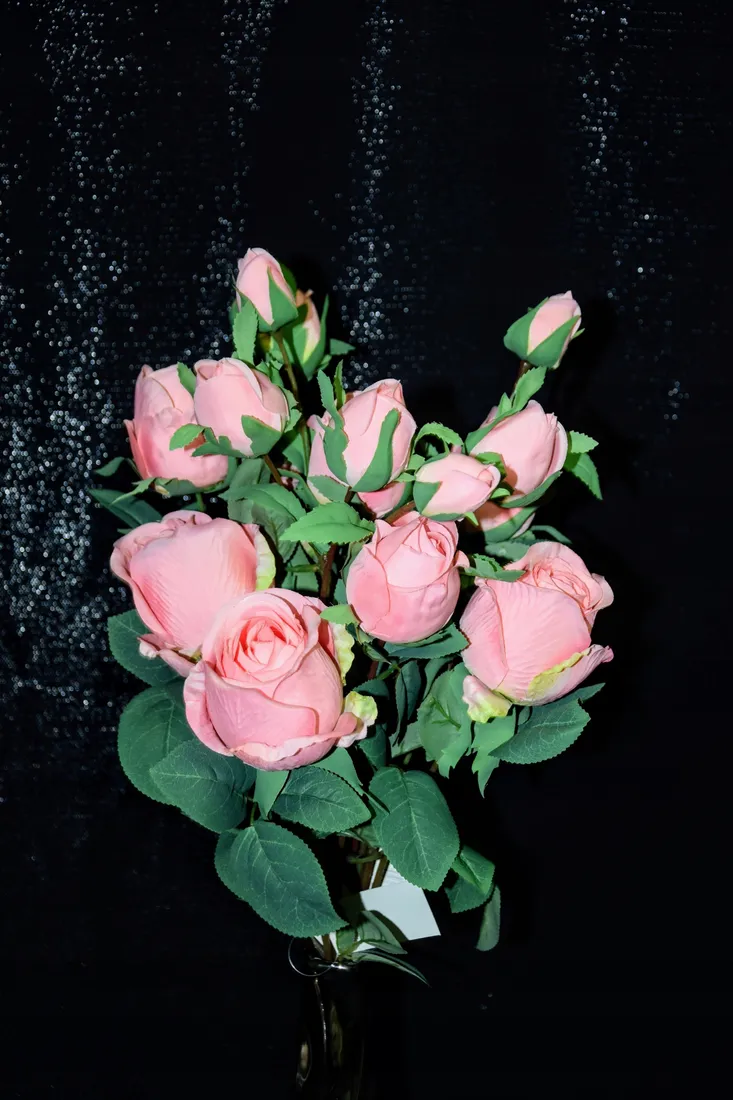 galazka-rozy-70-cm-stan-nowy