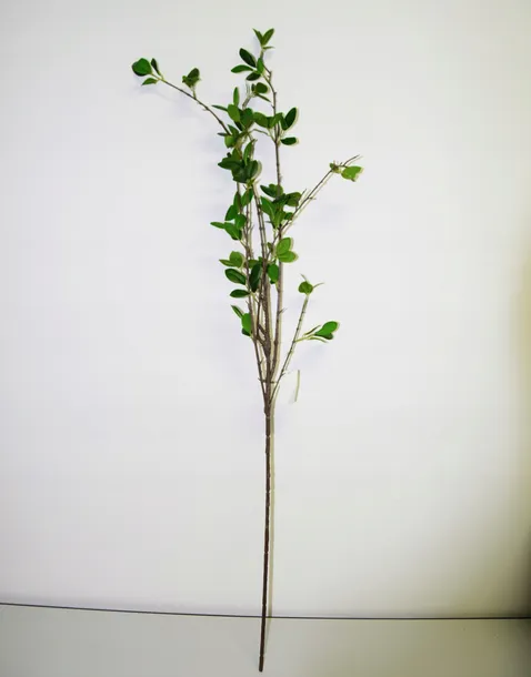 sztuczna-galazka-eukaliptus-104cm-wysokosc-maksymalna-104-cm