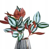 liscie-bukiet-31cm