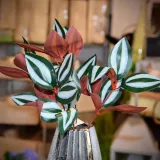 liscie-bukiet-31cm-stan-nowy