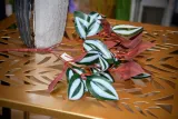 liscie-bukiet-31cm-kod-producenta-005-04