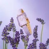 dw00100637-marka-daniel-wellington