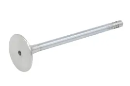 zawor-wydechowy-148151000100