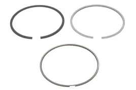 pierscienie-tlokowe-ford-24di-16v-8990-std-120021006500-ne