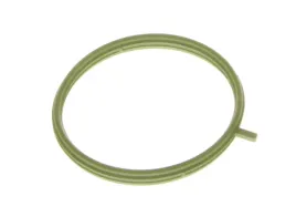 uszczelka-kolektora-dolotowego-aju13285500