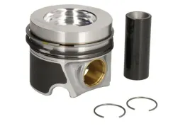 tlok-130050005200