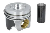 tlok-130050060021