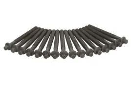 zestaw-srub-glowicy-cylindrow-aju81063900